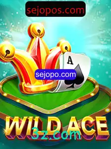 Explorando o Fascinante Universo de WildAce